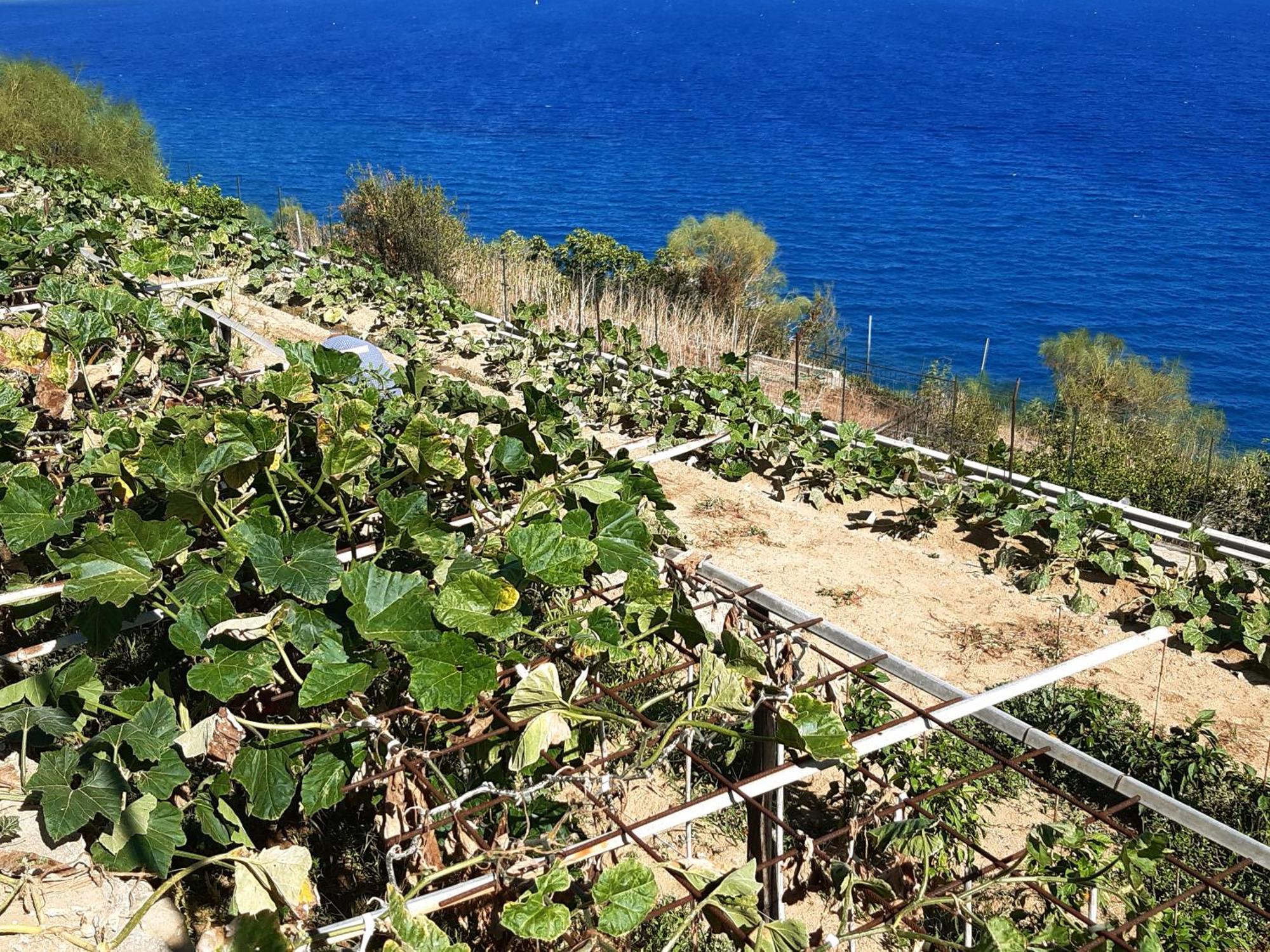 Gli Orti Sul Mare 2 Vista Mare Apartment Bordighera Ngoại thất bức ảnh